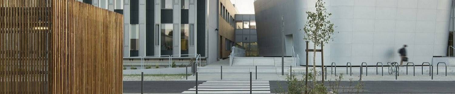 image accueil du logo de la rubrique